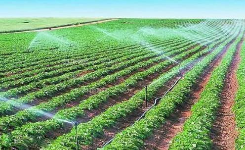 欧美大鸡巴抽插小骚逼视频农田高 效节水灌溉
